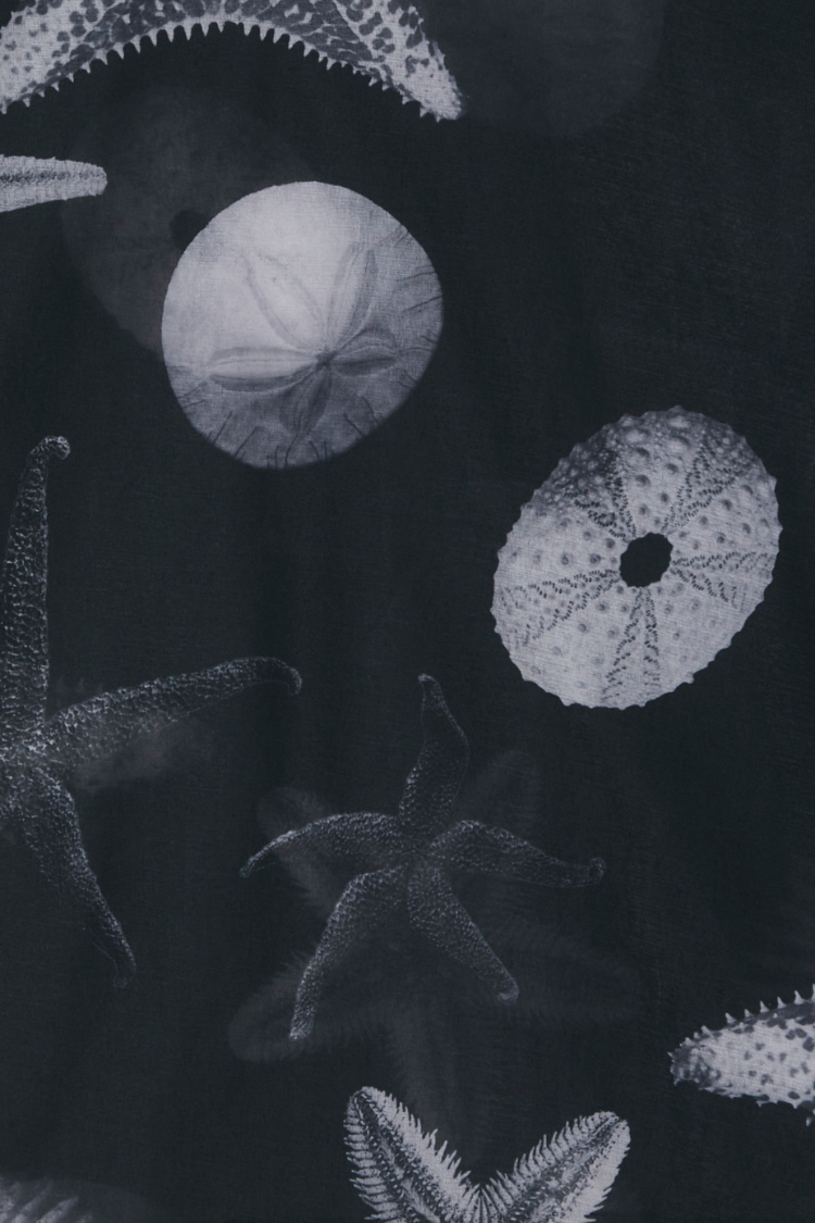 Black Mesh Seashell Print T-Shirt with Cami Slip | Caetana